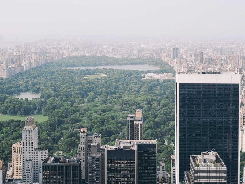 Mountain Bike — Trail